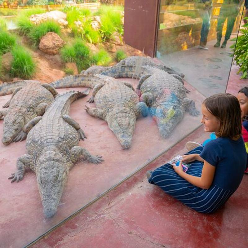 Crocoparc Agadir gallery 3