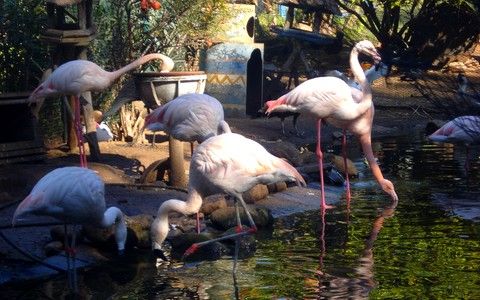 Agadir City Tour gallery 3