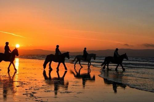 Horse Riding on the Beach