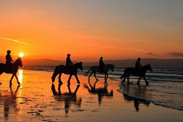 Horse Riding on the Beach