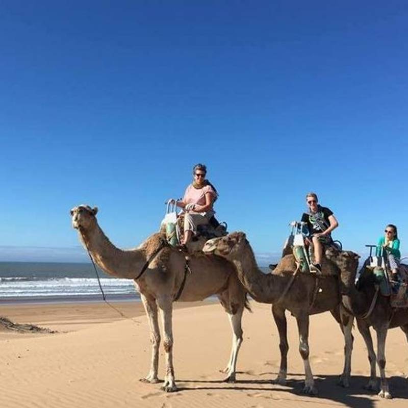 Camel Riding gallery 1
