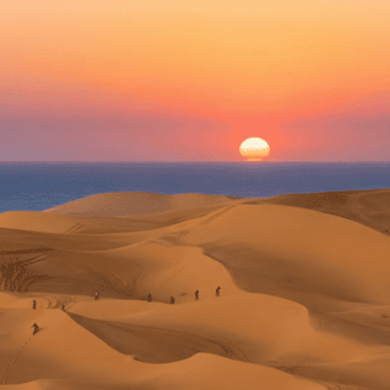 Sandboarding gallery 4