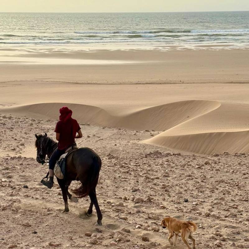 Horse Riding on the Beach gallery 3
