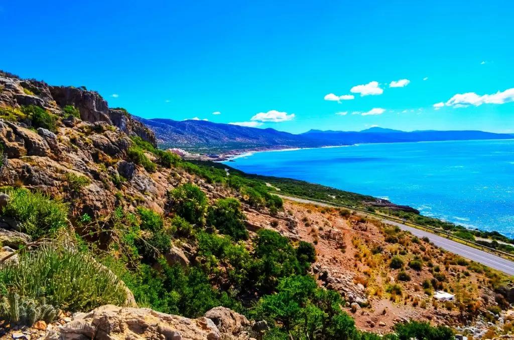 Goats on Argan Trees gallery 3