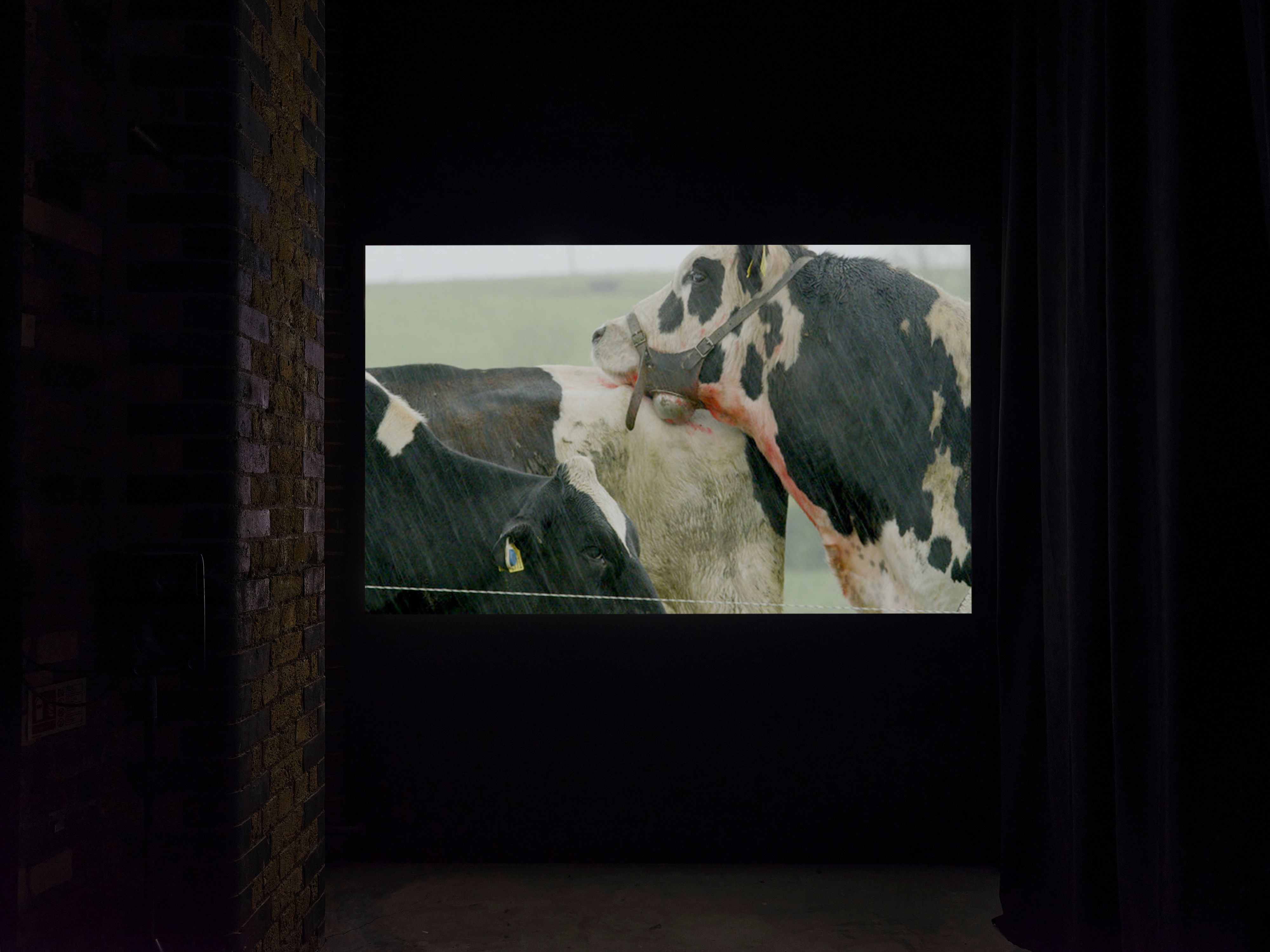 The Hands That Shut the Sun, Hollybush Gardens, London. Photo: Eva Herzog