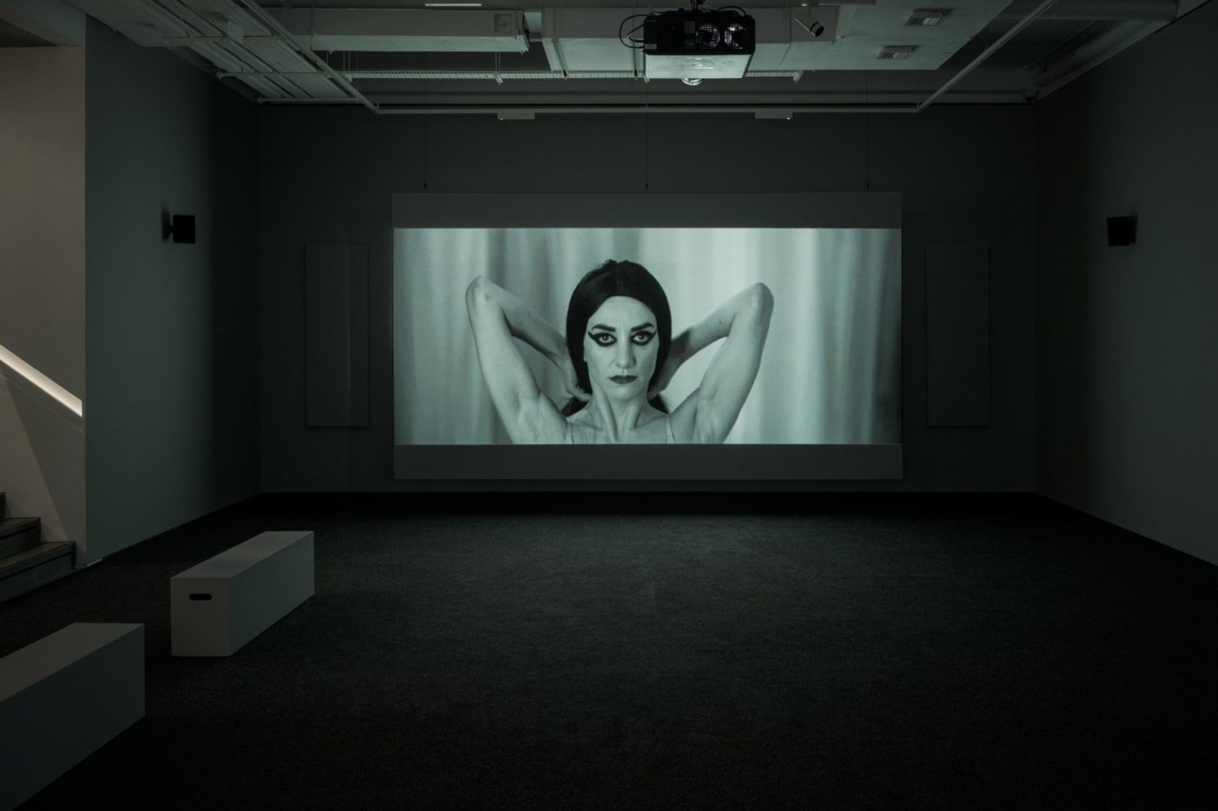 The Fury – Shirin Neshat, Goodman Gallery