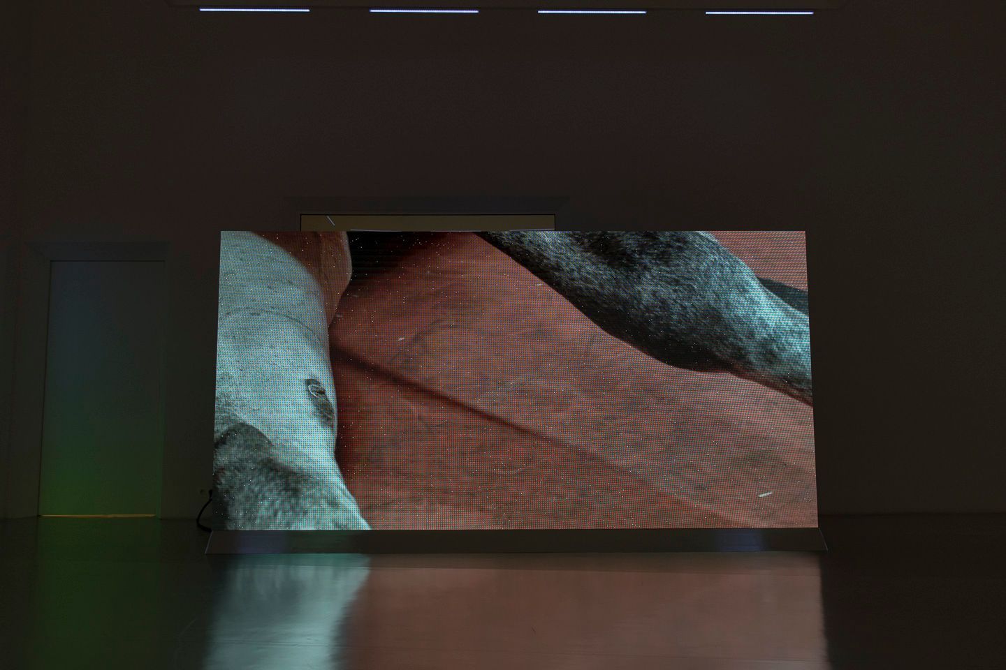 Revital Cohen and Tuur Van Balen, The Odds (part 1), 2019, LED wall, installation view, Stanley Picker Gallery. Photo: Plastiques