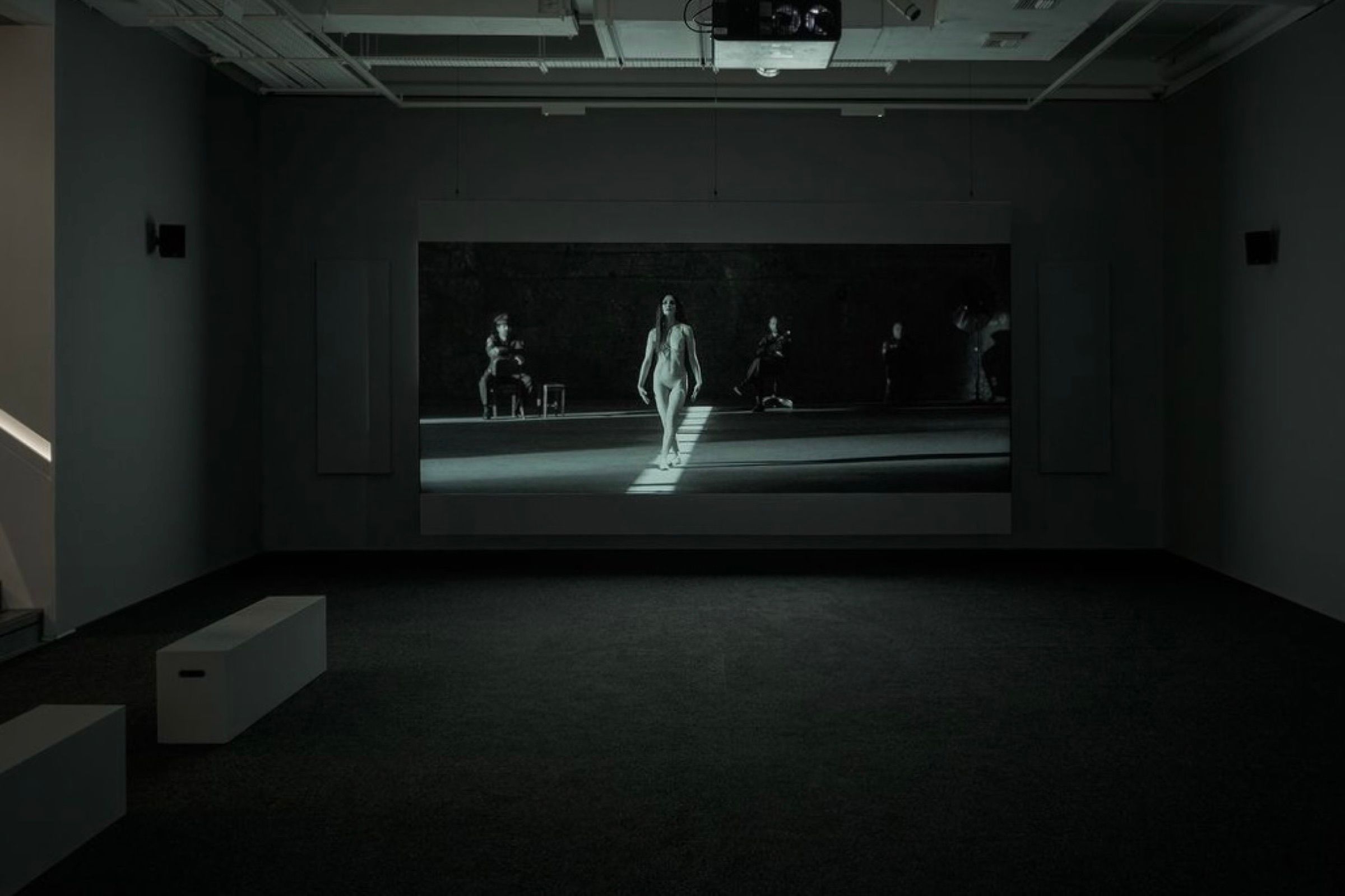 Shirin Neshat — The Fury installation, Goodman Gallery