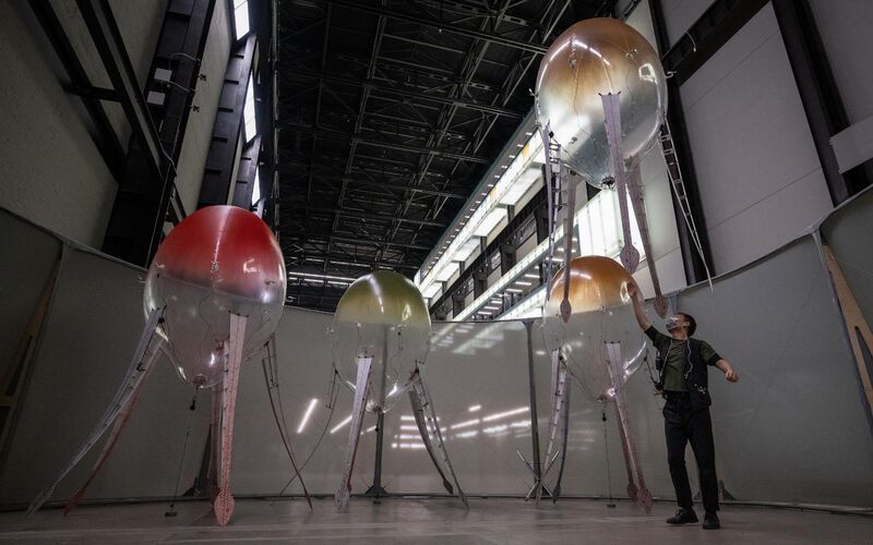 Anicka_02