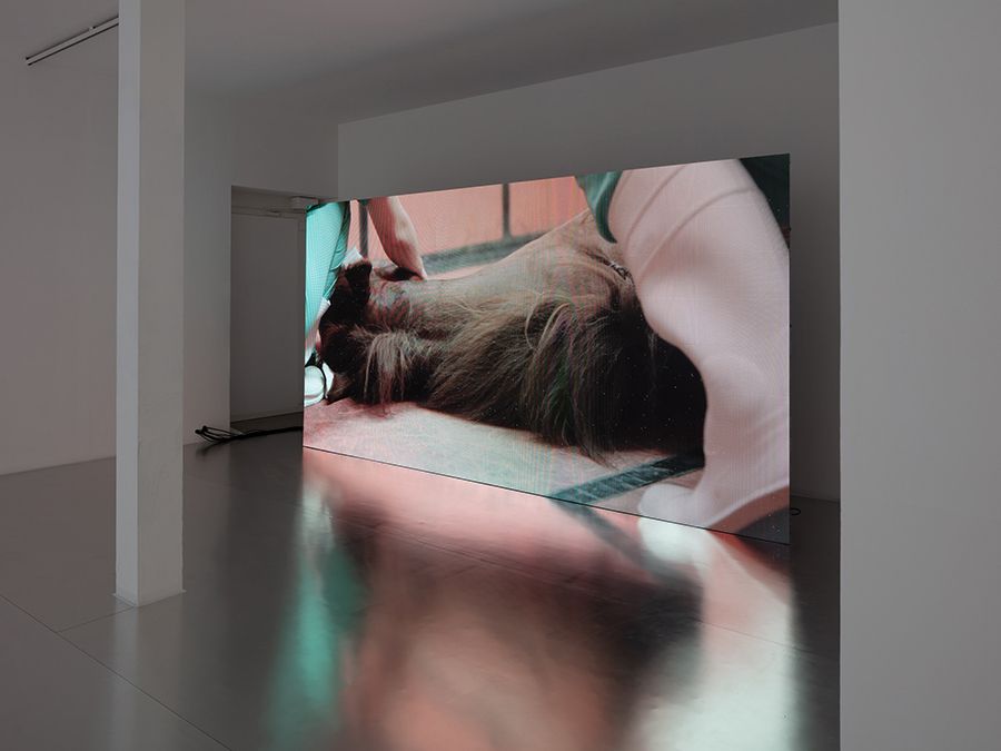 Revital Cohen and Tuur Van Balen The Odds (part 1) at Stanley Picker Gallery, 2019,