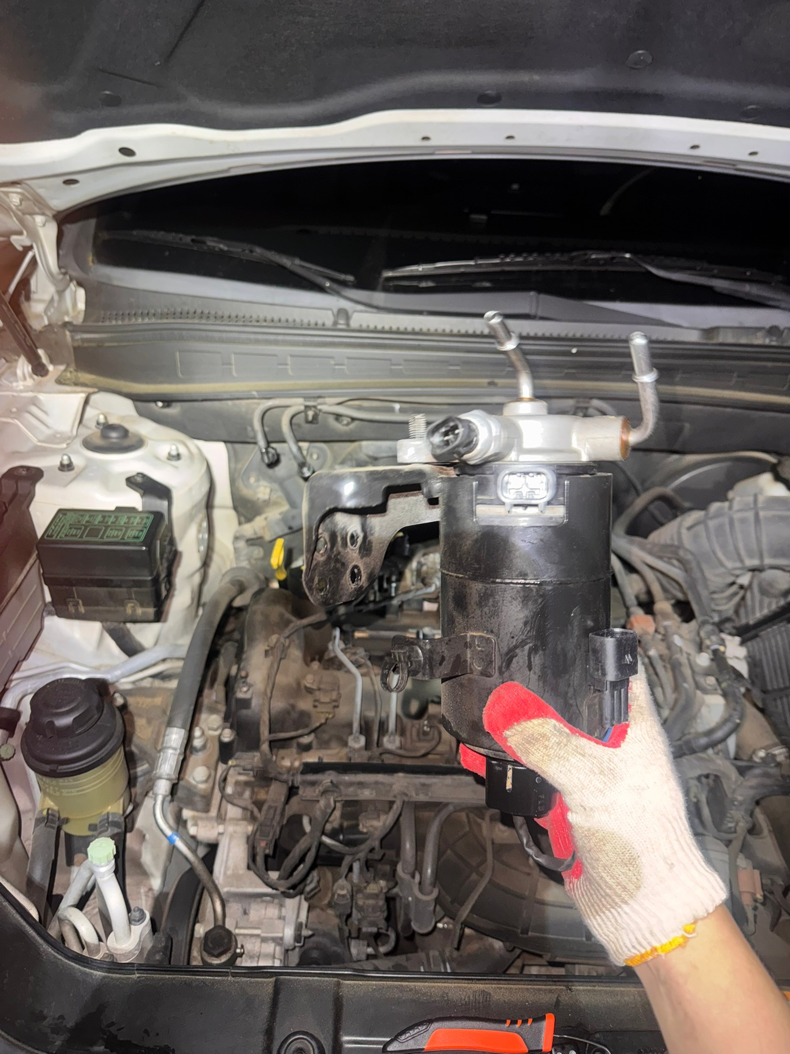 Fuel filter assembly removed from the engine bay