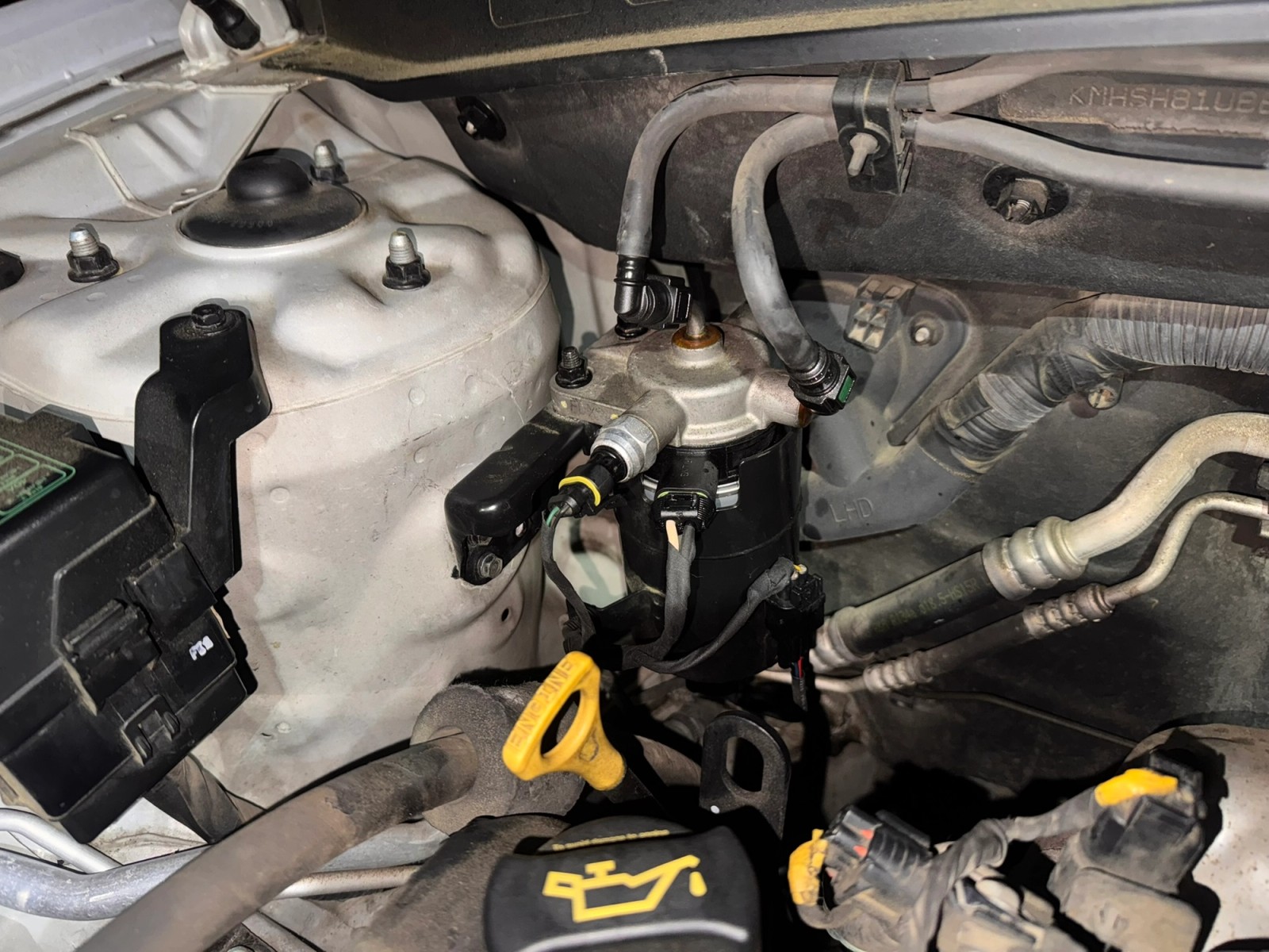 Engine bay with the new fuel filter installed