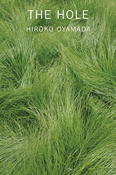The Hole by Hiroko Oyamada book cover
