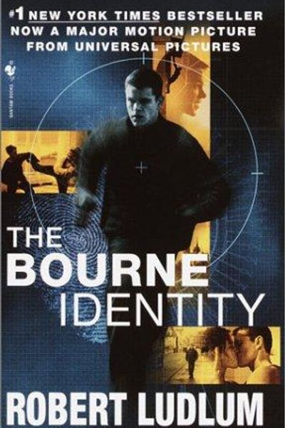 The Identicals by Robert Ludlum book cover