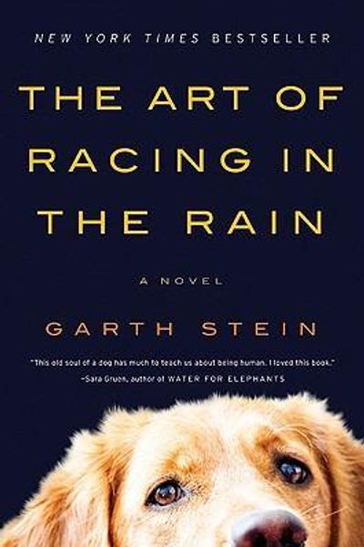 The Art of Racing in the Rain by Garth Stein book cover