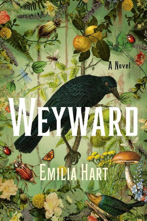 Weyward cover