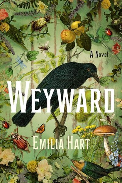 Weyward by Emilia Hart book cover