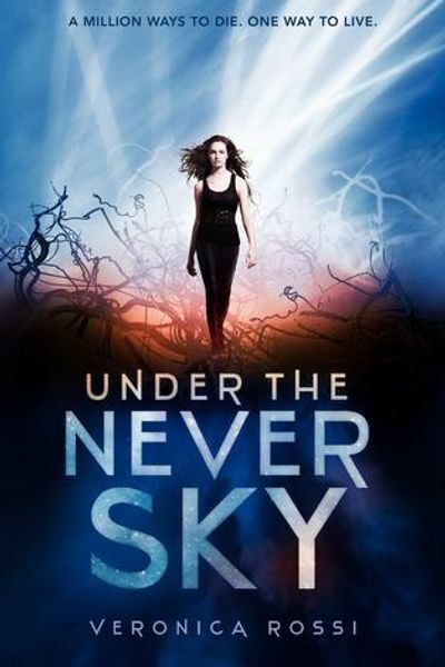 Under the Never Sky book cover