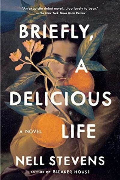 Briefly, A Delicious Life by Nell Stevens book cover