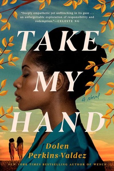 Take My Hand by Dolen Perkins-Valdez book cover