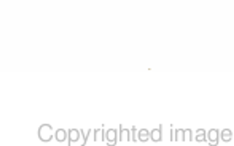 Redwall by Brian Jacques book cover