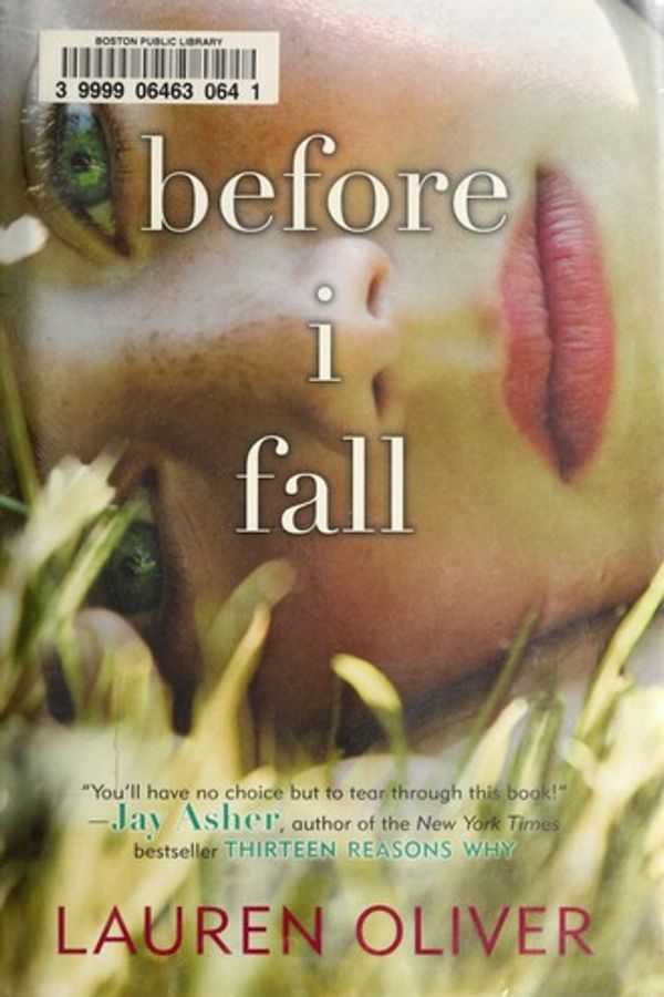 Before I Fall cover