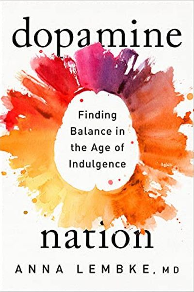 Dopamine Nation by Anna Lembke book cover