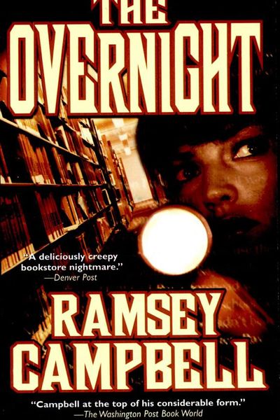 The Overnight by Robert Lawrence Stine book cover