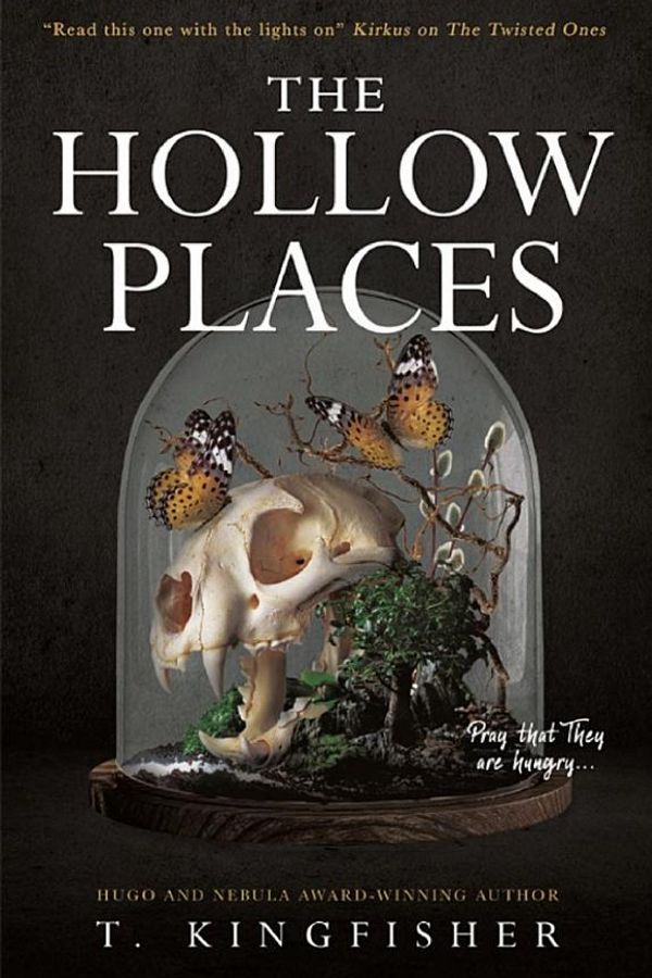The Hollow Places cover