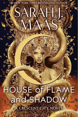 House of Flame and Shadow cover