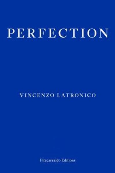 Perfection by Vincenzo Latronico book cover