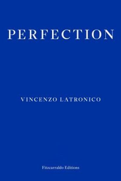 Perfection by Vincenzo Latronico book cover