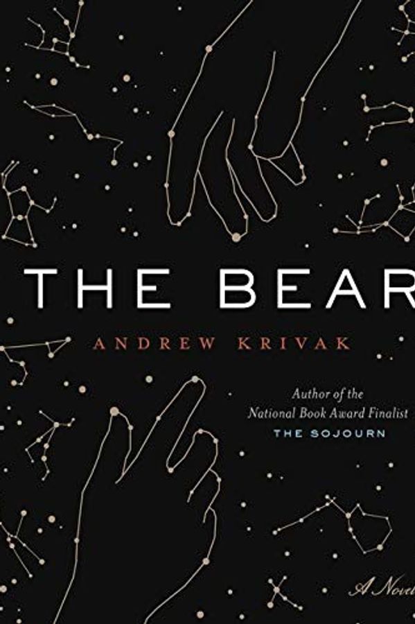 The Bear cover