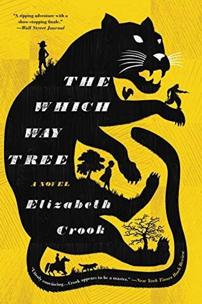 The Which Way Tree by Elizabeth Crook book cover
