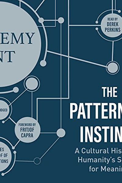 The Patterning Instinct by Jeremy Lent book cover