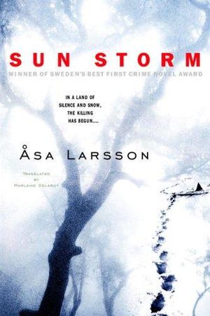 Sun Storm by Asa Larsson book cover