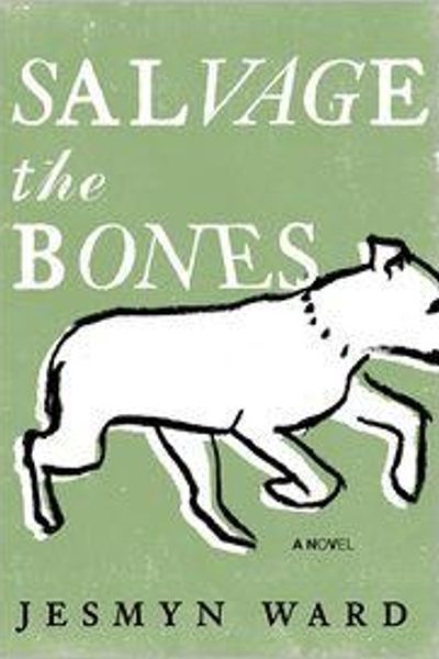 Salvage the Bones by Jesmyn Ward book cover