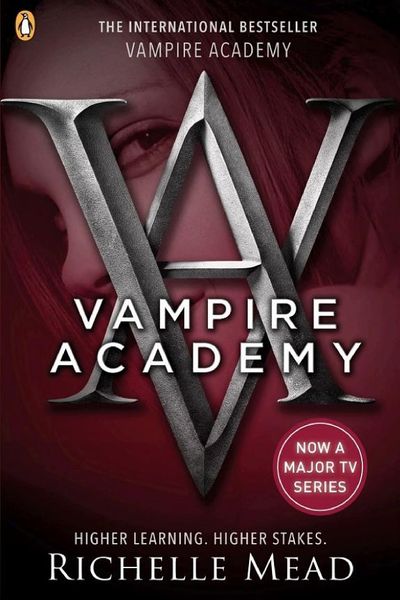 Vampire Academy by Richelle Mead book cover