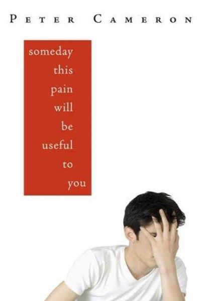 Someday This Pain Will Be Useful to You by Peter Cameron book cover