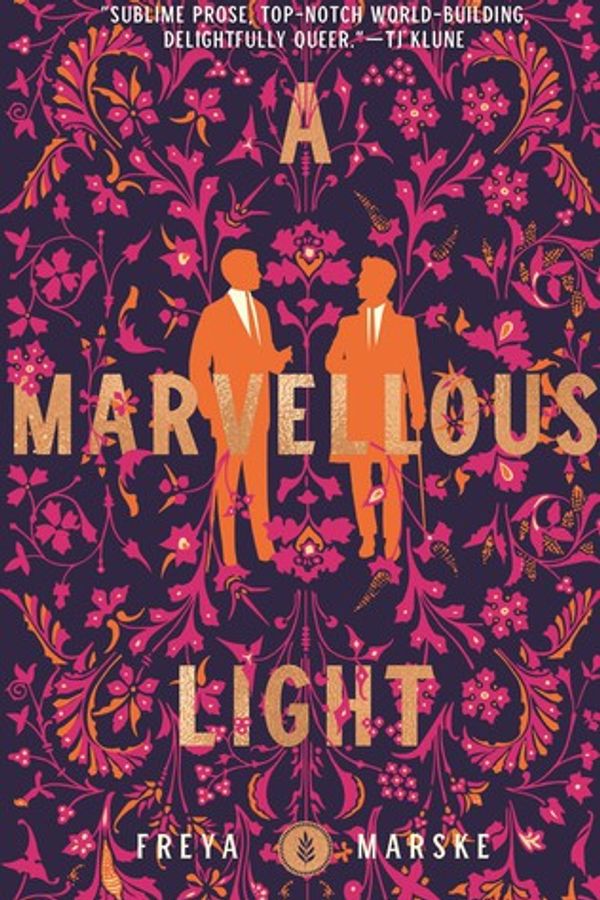A Marvellous Light cover