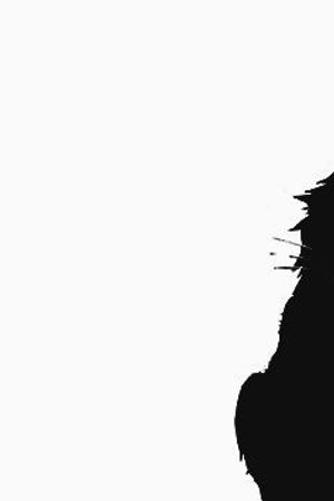 Love and Other Words by Christina Lauren book cover