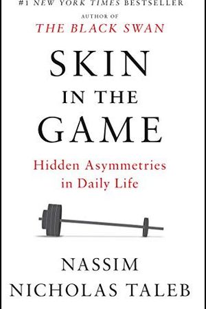 Skin in the Game cover