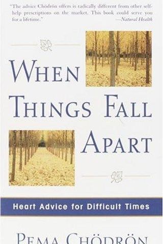 When Things Fall Apart cover