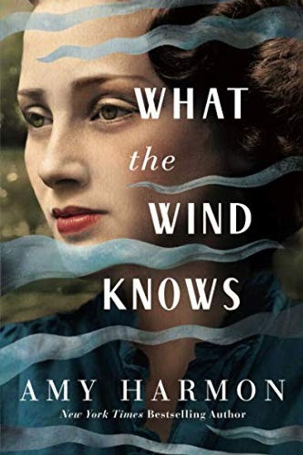 What the Wind Knows by Amy Harmon book cover
