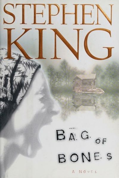 Bag of Bones book cover