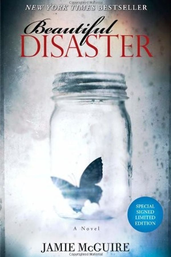 Beautiful Disaster cover