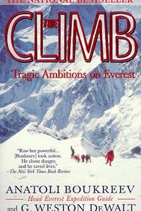 The Climb