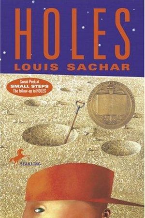 Holes cover