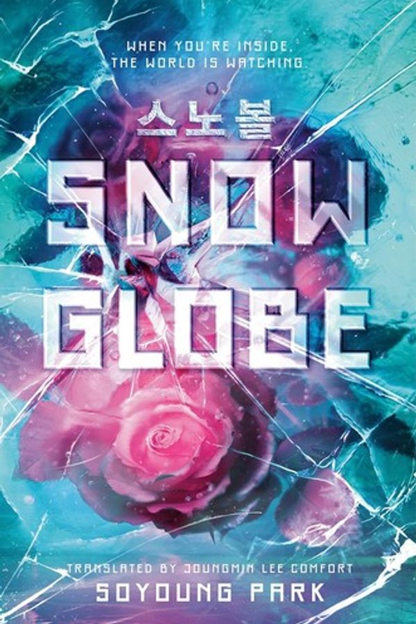 Snowglobe cover