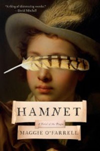 Hamnet by Maggie O'Farrell book cover